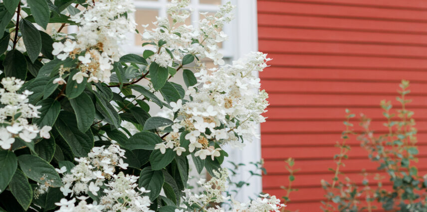 flowers at the front entrance to Temple's Wedding and Events