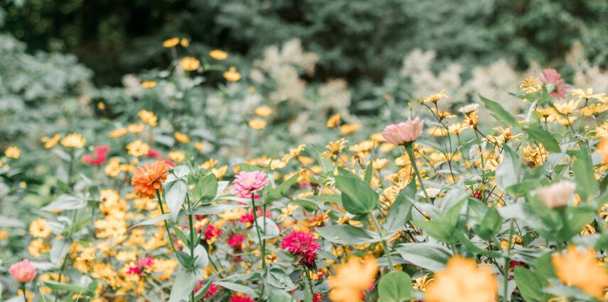 Temple's Country Weddings garden area