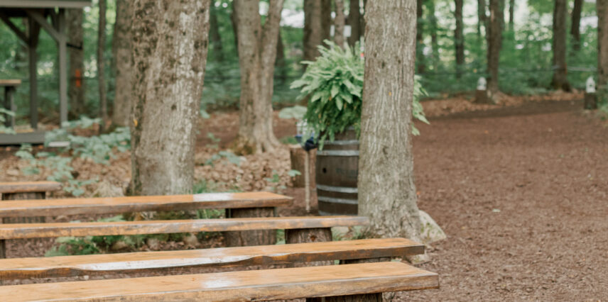 Temple's Country Weddings enchanting forest ceremony seating
