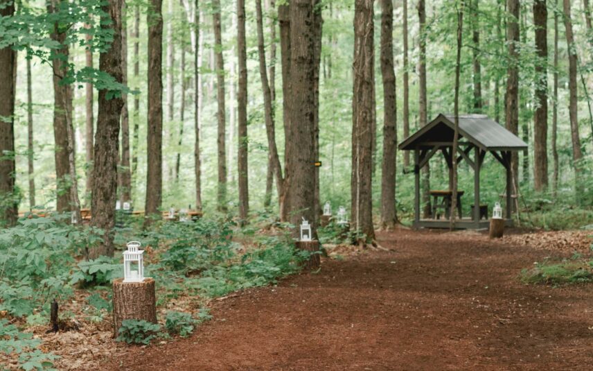 Temple's Country Weddings path to forest ceremony area